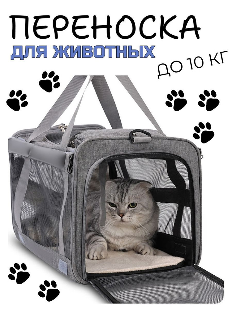 Переноска #1