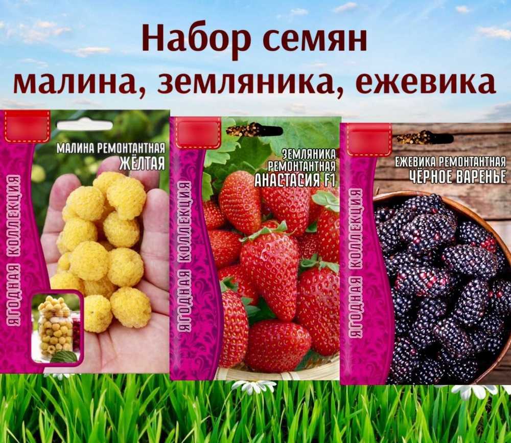 Семена #1
