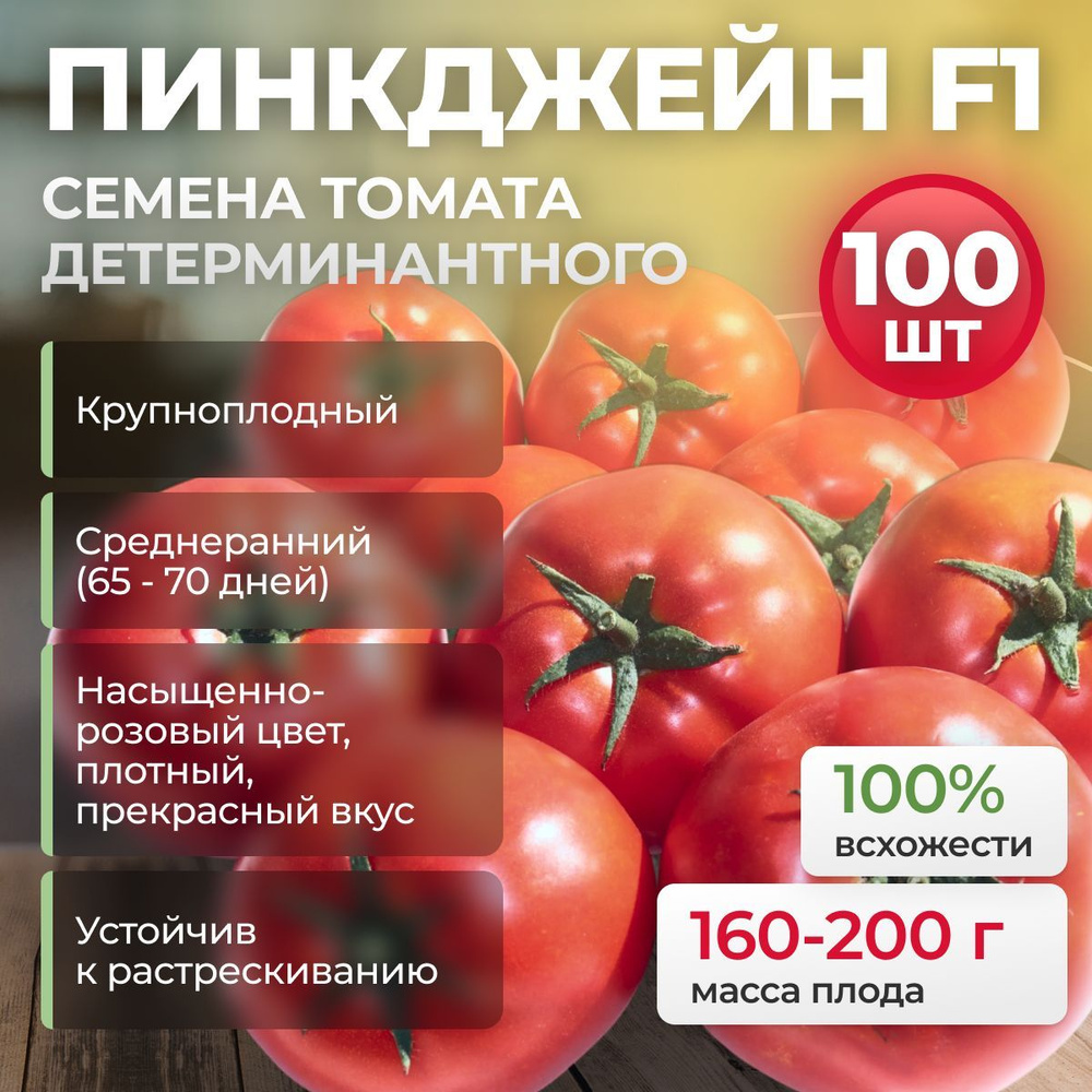 Пинкджейн F1 семена томата среднераннего, 100 шт. (Enza Zaden / ALEXAGRO). Высокоурожайный, детерминантный #1