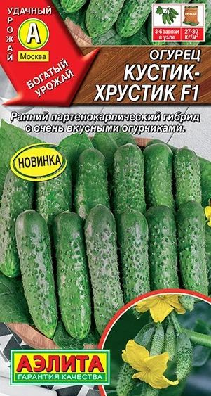Семена Огурец Кустик-хрустик F1, 7 штук семян ,Агрофирма Аэлита #1