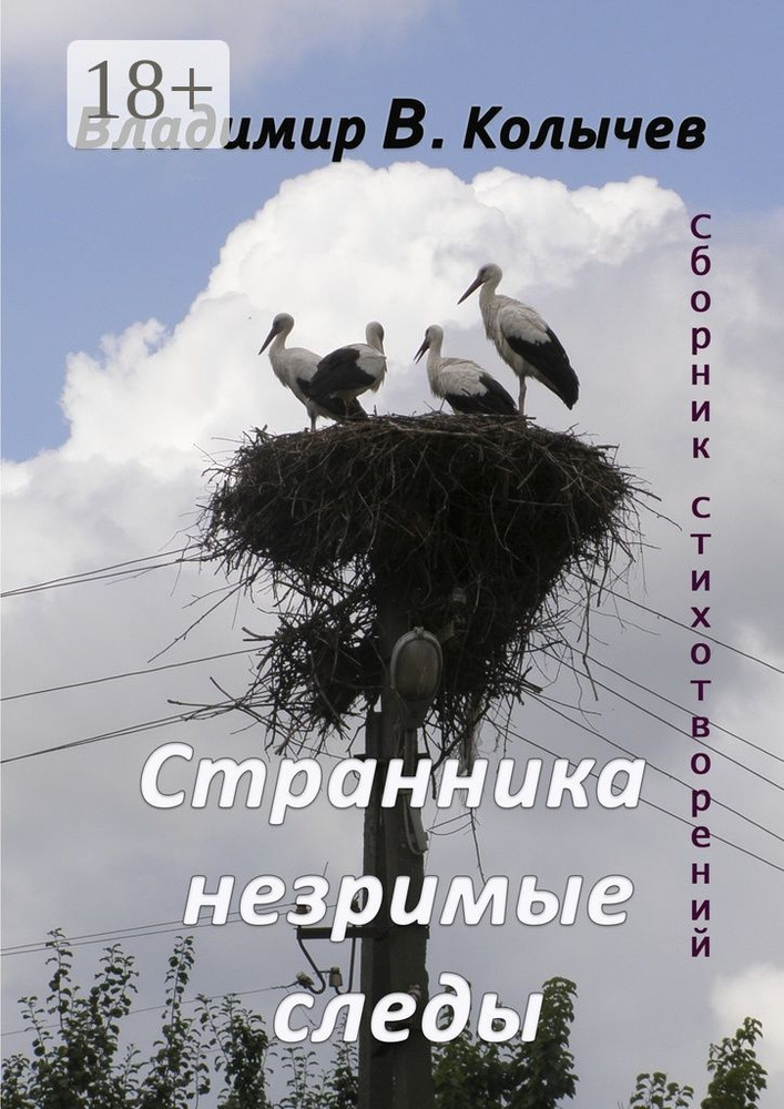 Странника незримые следы #1