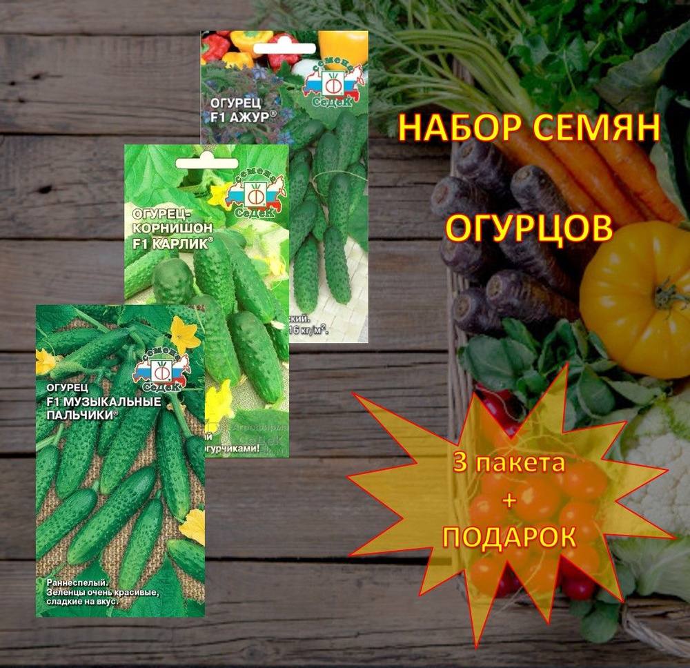 СеДеК Семена #1