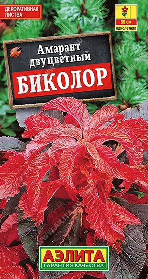 Семена АМАРАНТ БИКОЛОР #1
