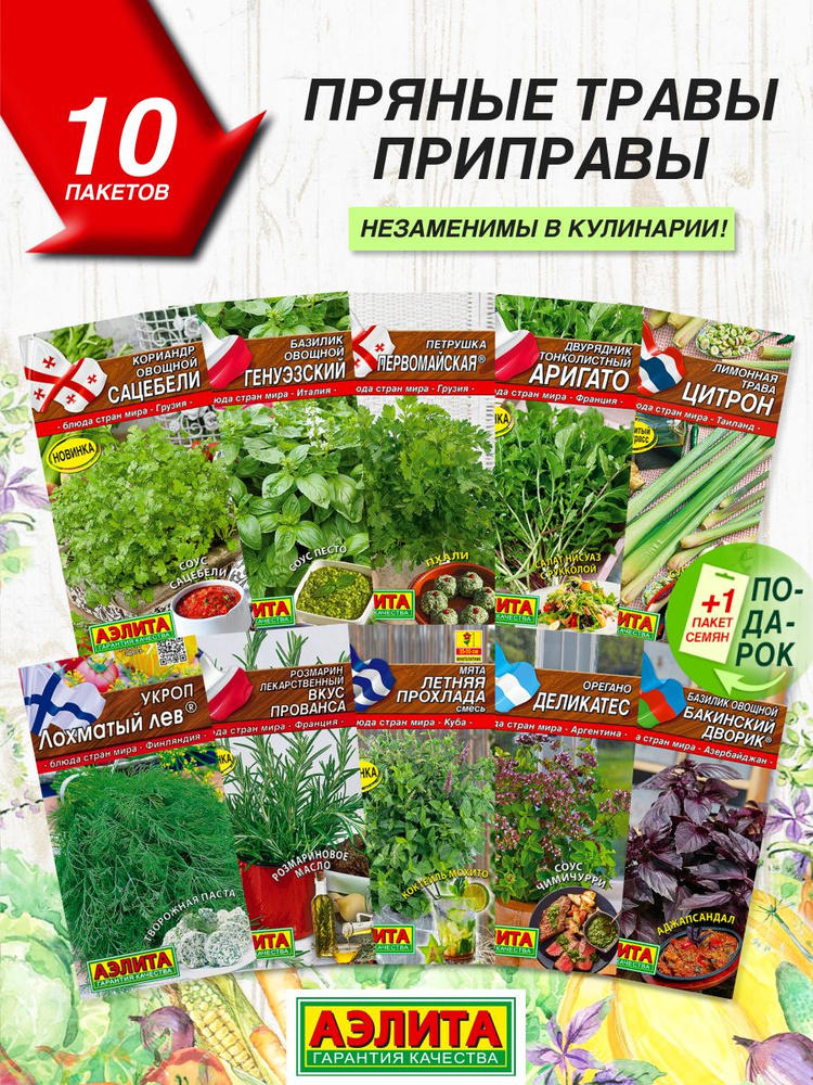 Набор семян Травы приправы 10 сортов #1