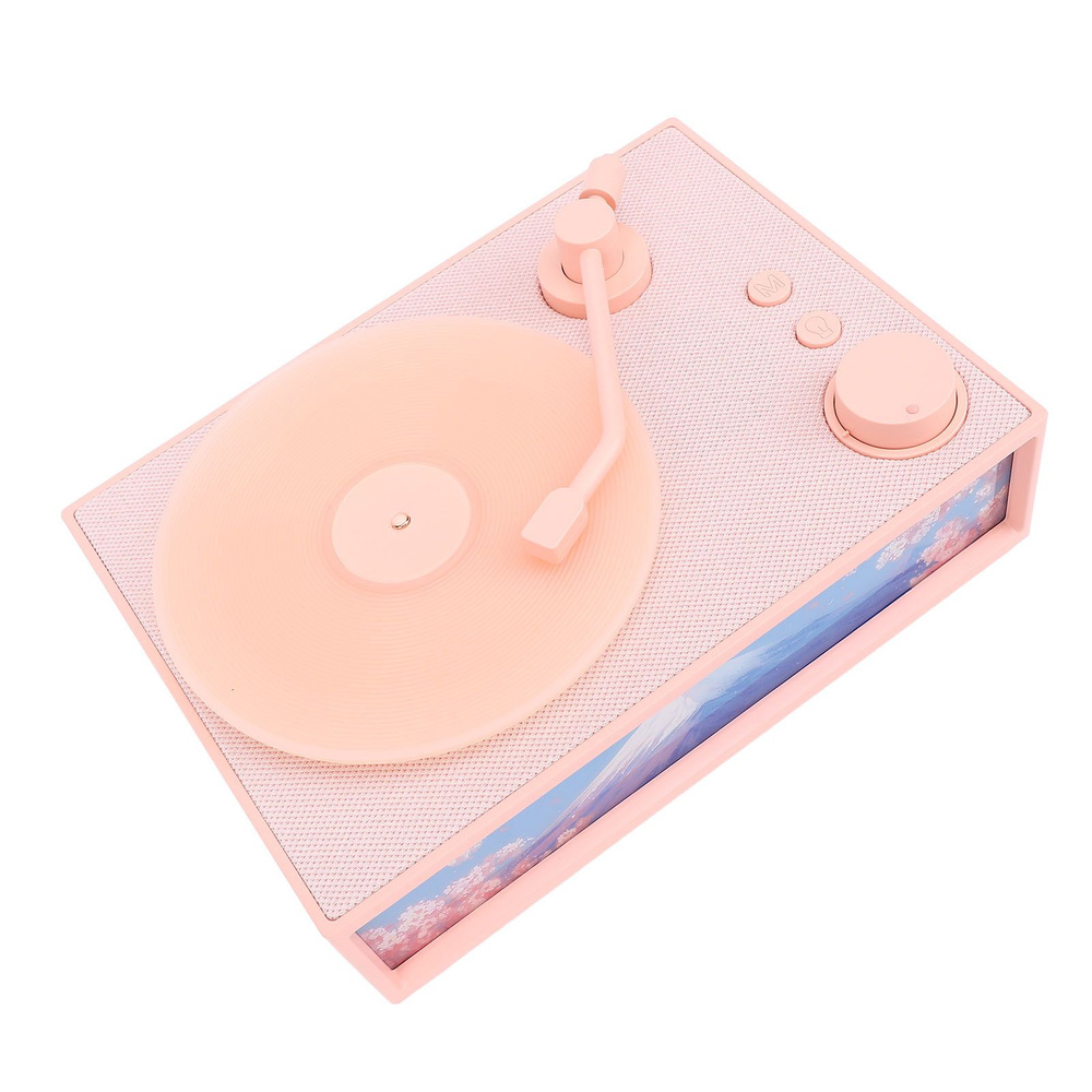 Динамик Bluetooth #1