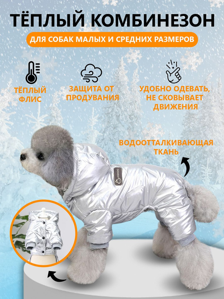 Одежда для животных #1