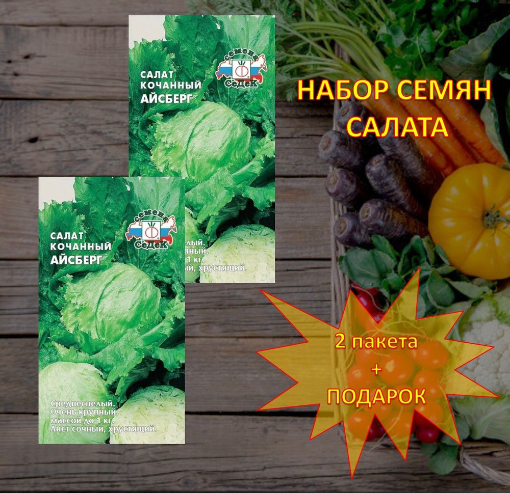 СеДеК Семена #1