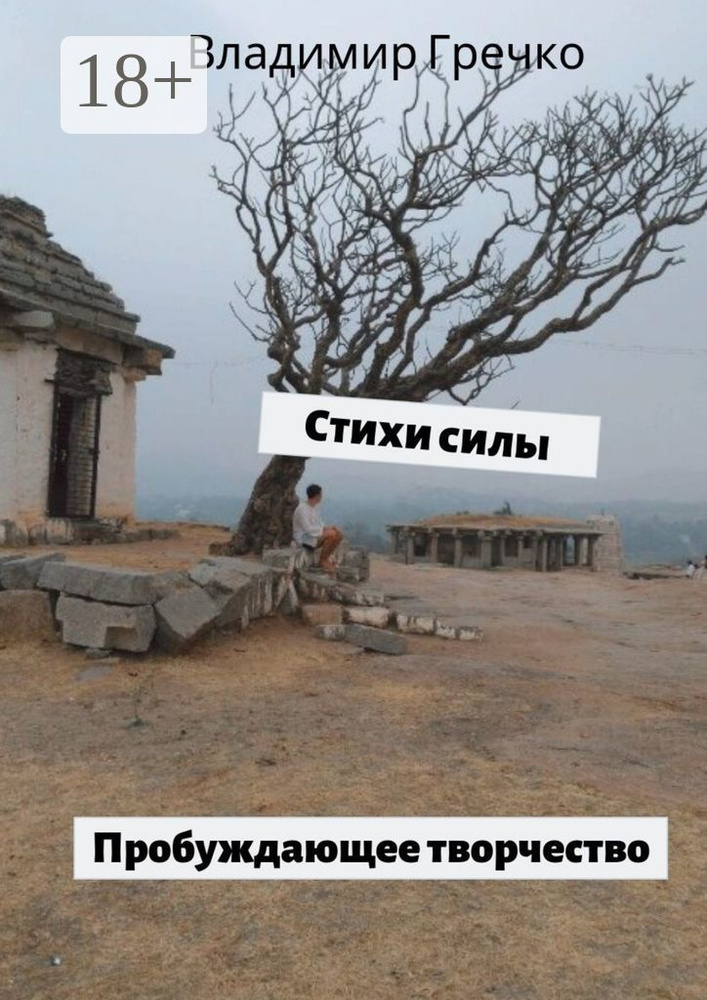 Стихи силы. Пробуждающее творчество | Гречко Владимир #1