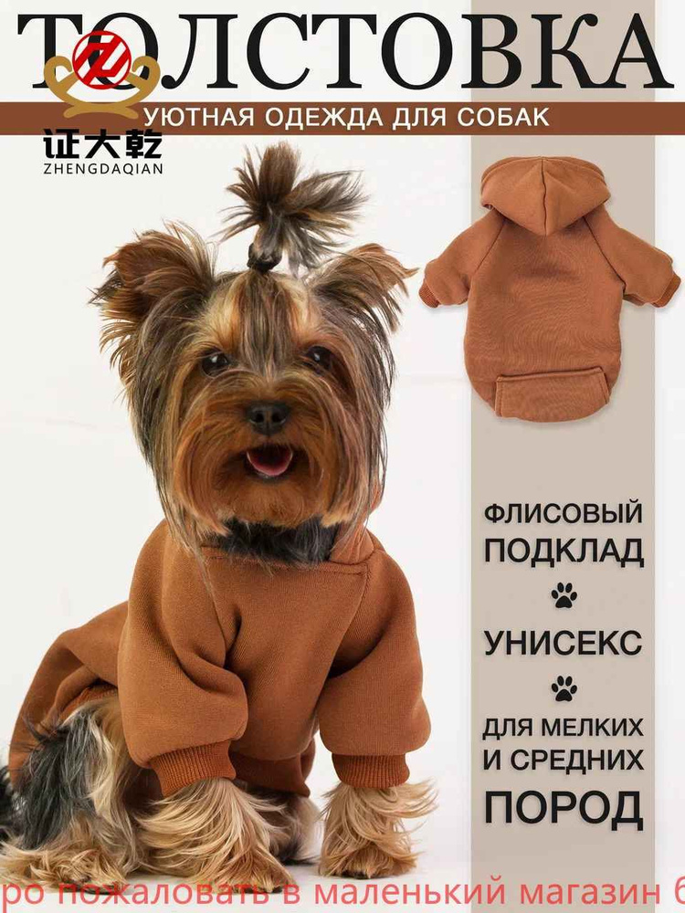 Одежда для животных #1