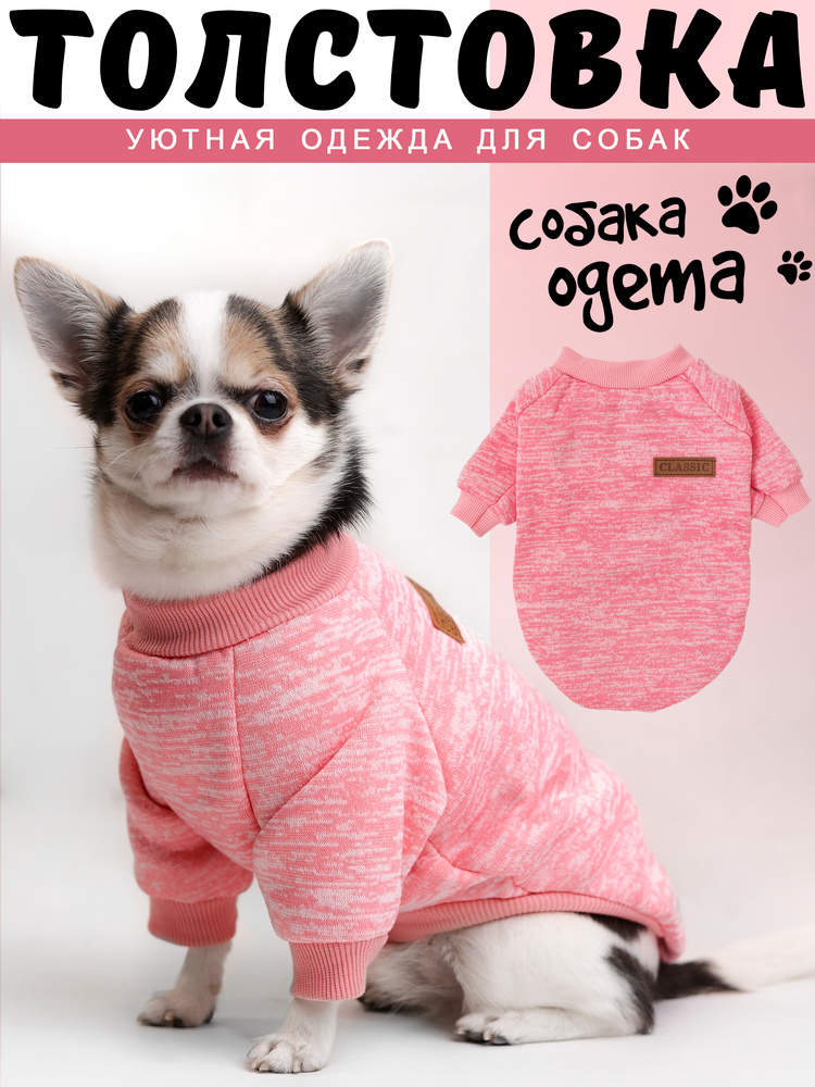 Одежда для животных #1