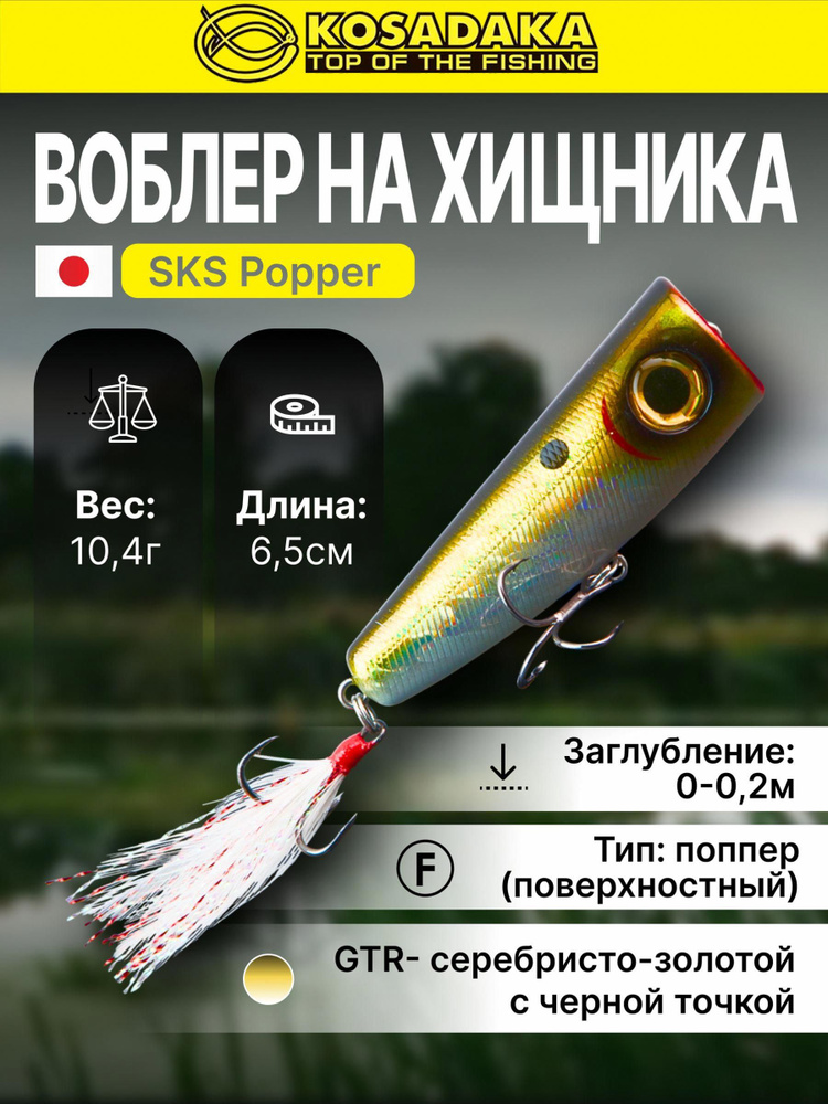 Поппер #1