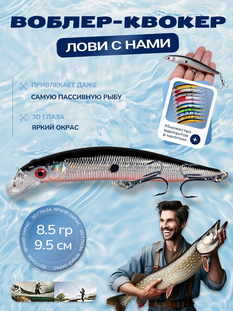 Поппер #1
