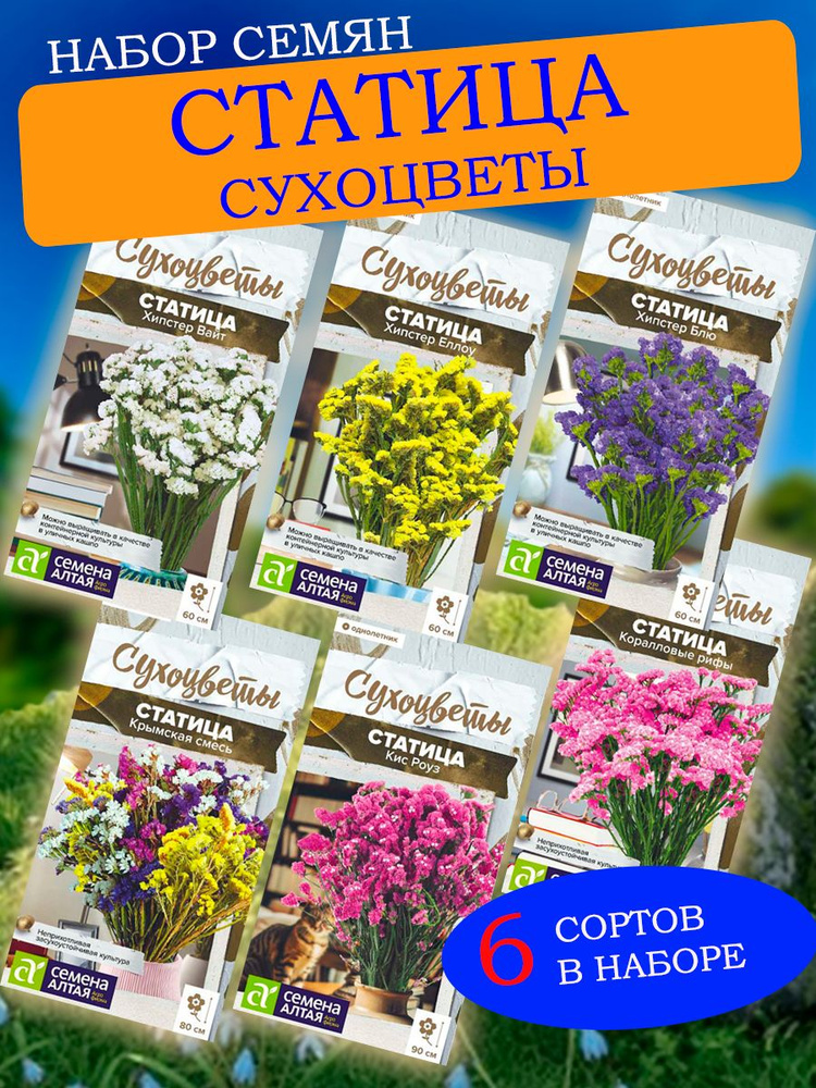 Статица семена набор #1