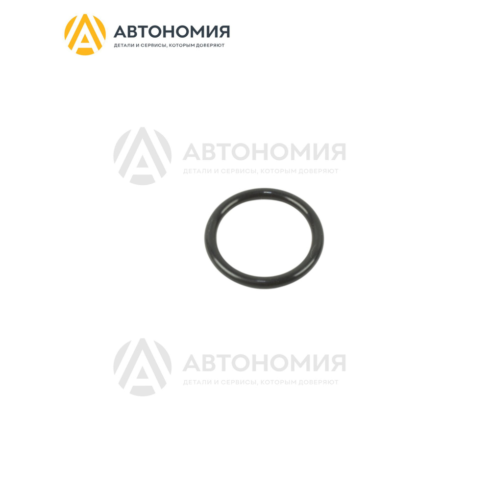 Кольцо уплотнительное Mazda B25F-61-J17 #1