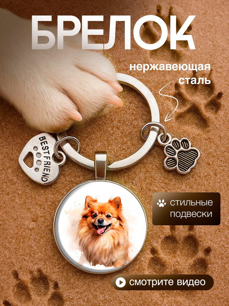 Брелок шпиц #1