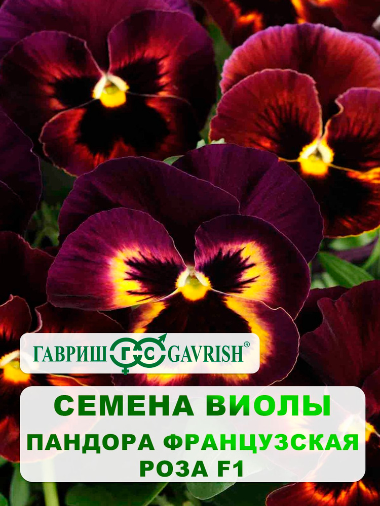 Семена Виолы Виттрока "Пандора французская роза F1", 5 шт, Анютины глазки. #1