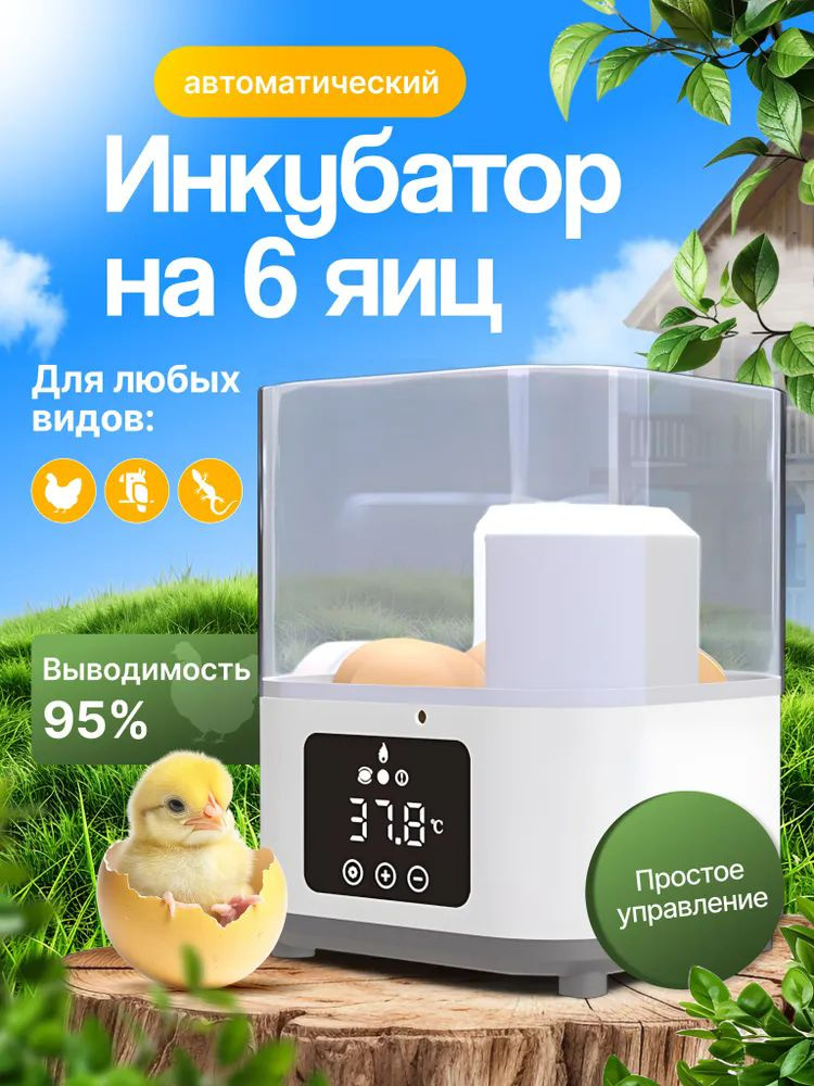 Инкубатор для яиц #1