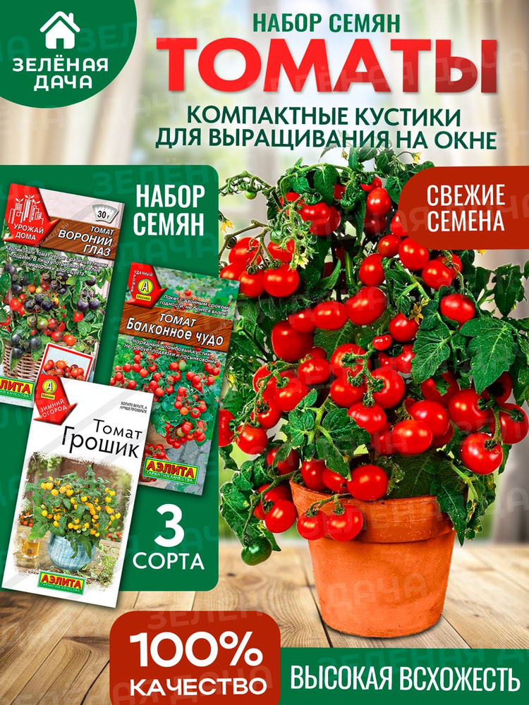 Семена томатов черри комнатные #1