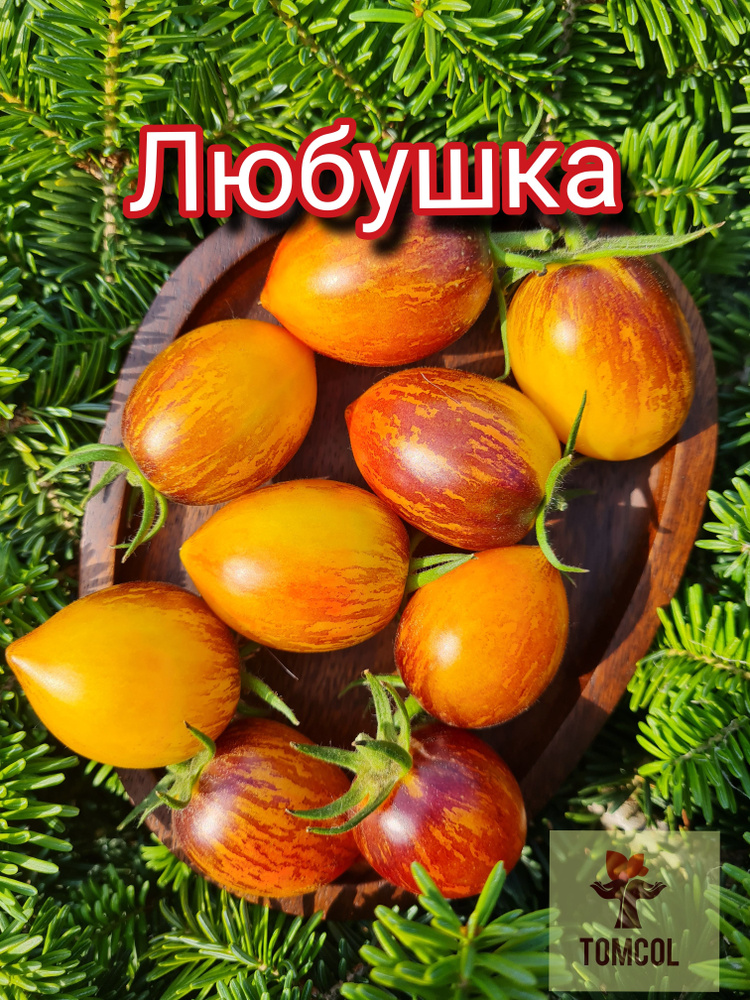 Семена #1