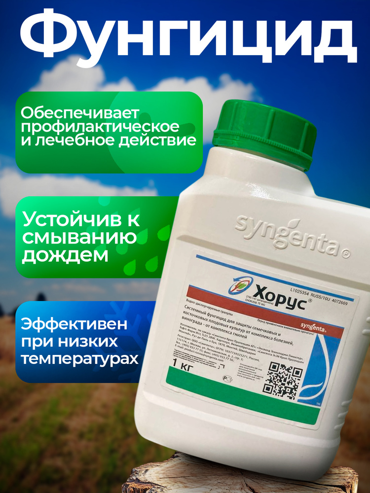 Хорус ВДГ #1
