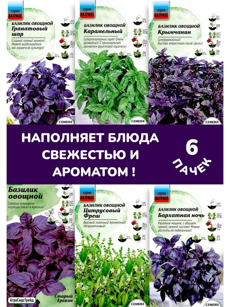 Базилик 6 сортов №2 #1