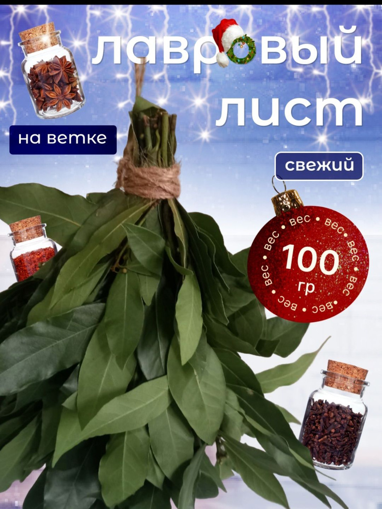 лавровый лист #1