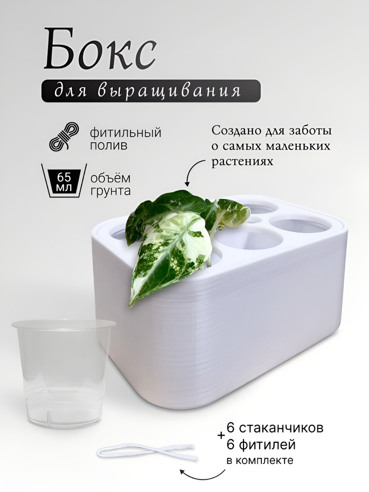 Гроубокс #1