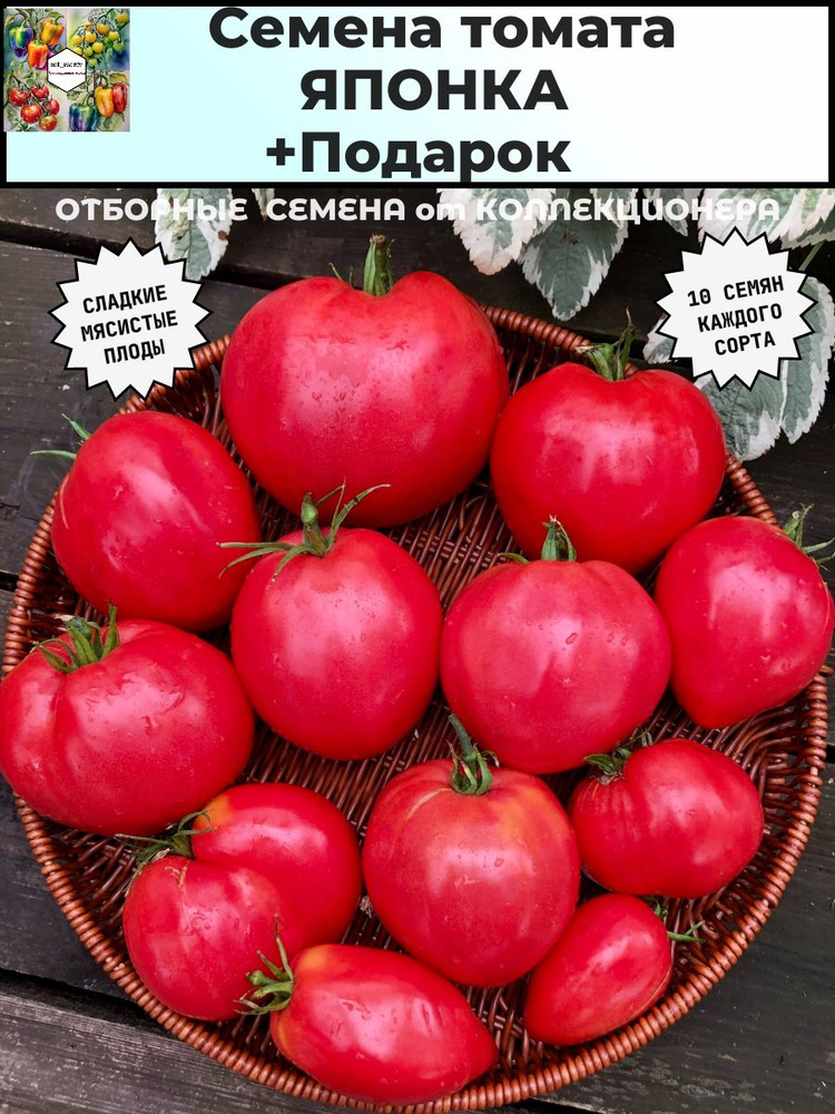 Семена томата ЯПОНКА #1