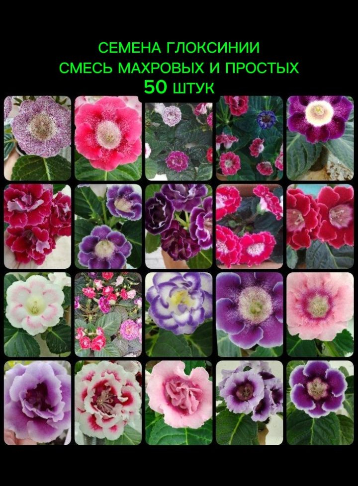 Семена ,50шт #1