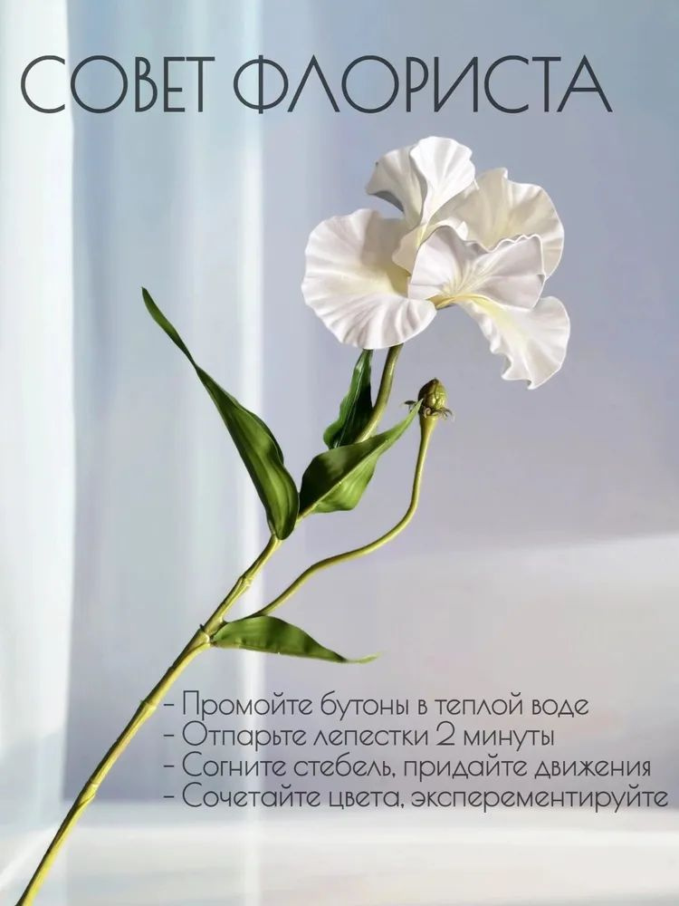 IKEA 1 OZON 4737670808 