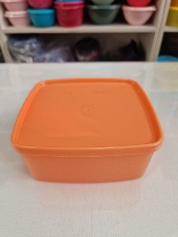 Контейнер Хранитель (490 мл) Tupperware #1