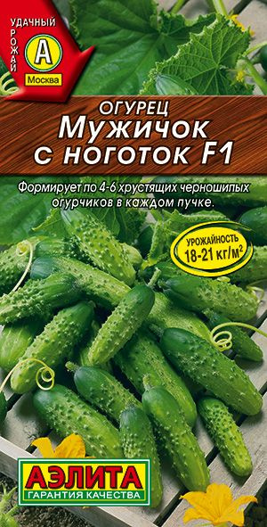 Семена Огурец Мужичок с Ноготок F1 (10 семян) - Аэлита #1