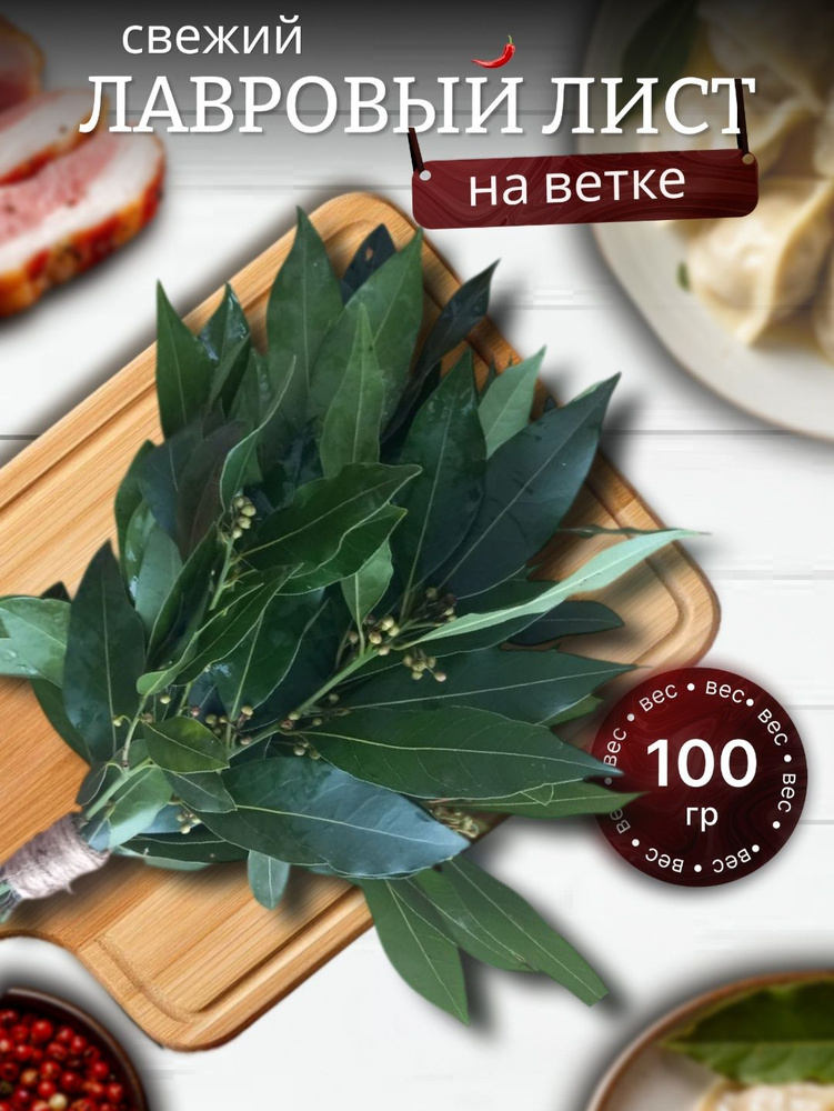 лавровый лист #1