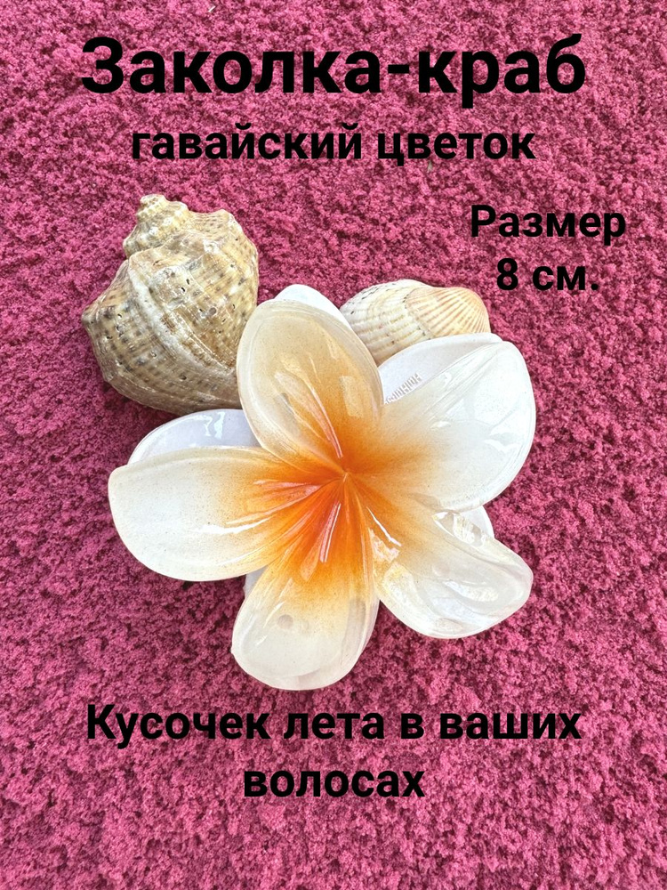  1 OZON 