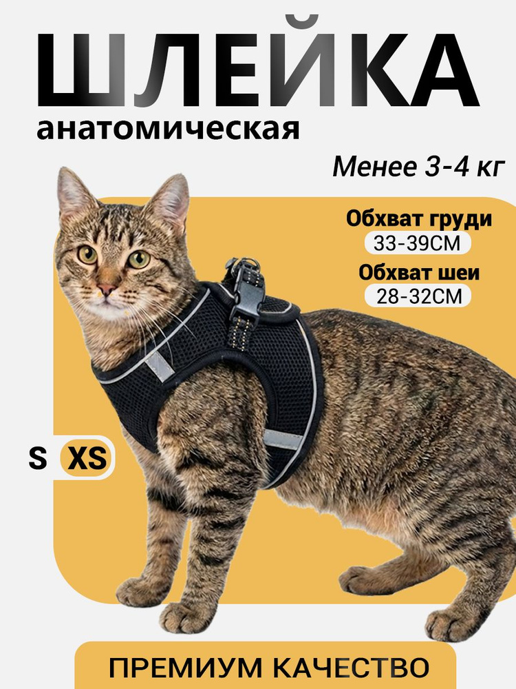 Шлейка анатомическая для собак и кошек , дышащая сетка, светоотражающая полоса, регулируемая, мягкая, #1