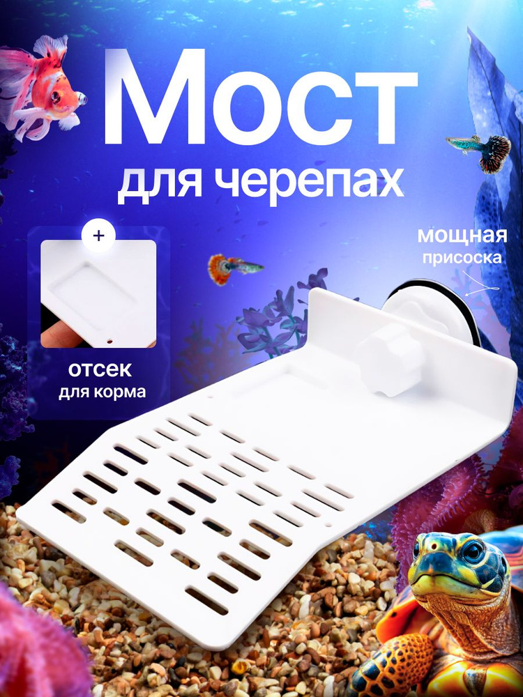Мостик для черепахи #1