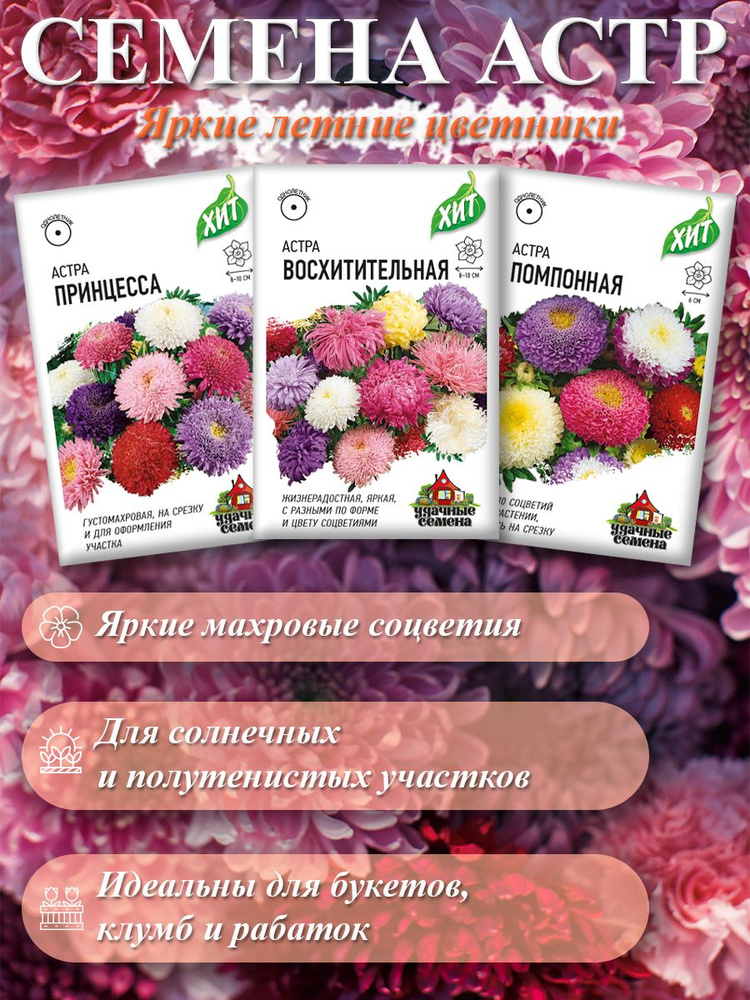 Семена Астры #1