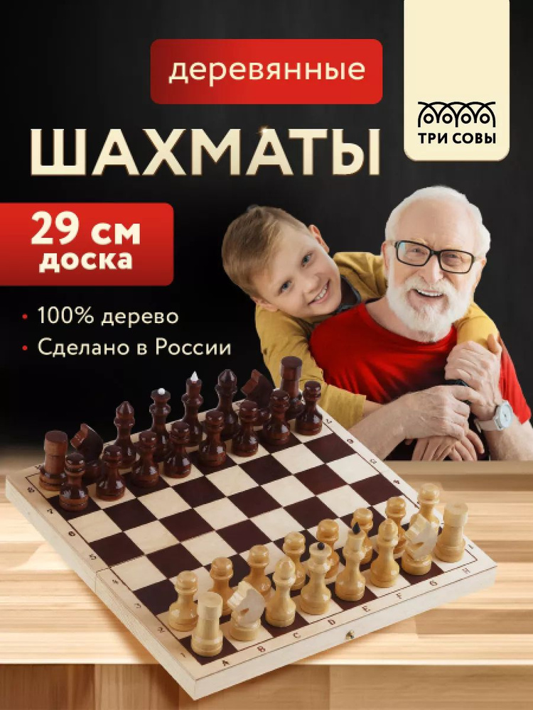 Шахматы #1