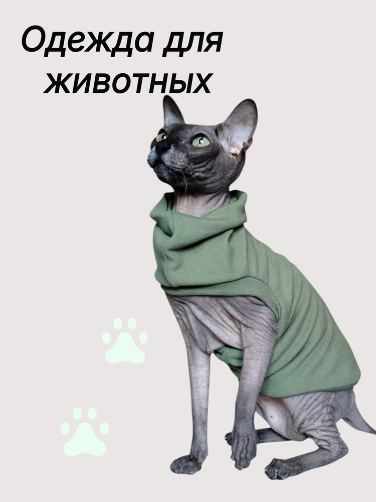 Одежда для животных #1