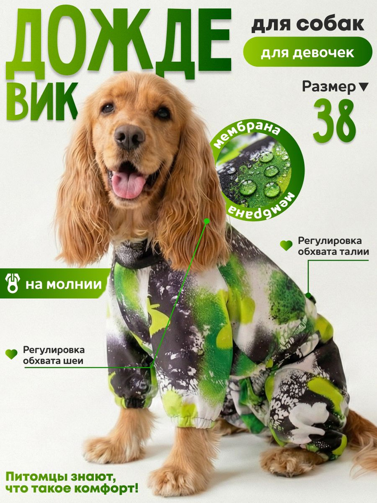 Дождевик "Бабочки" #1