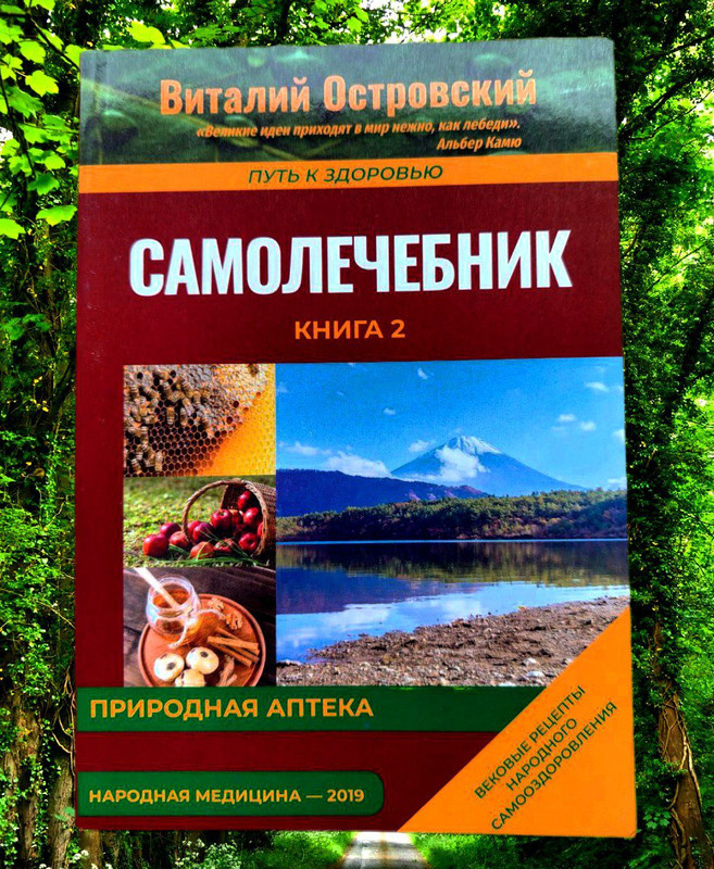 Самолечебник книга 2 #1