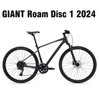 Giant roam disc online