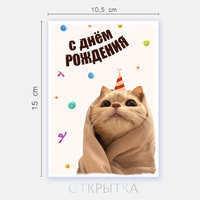 Открытки с Днём Рождения с котиками