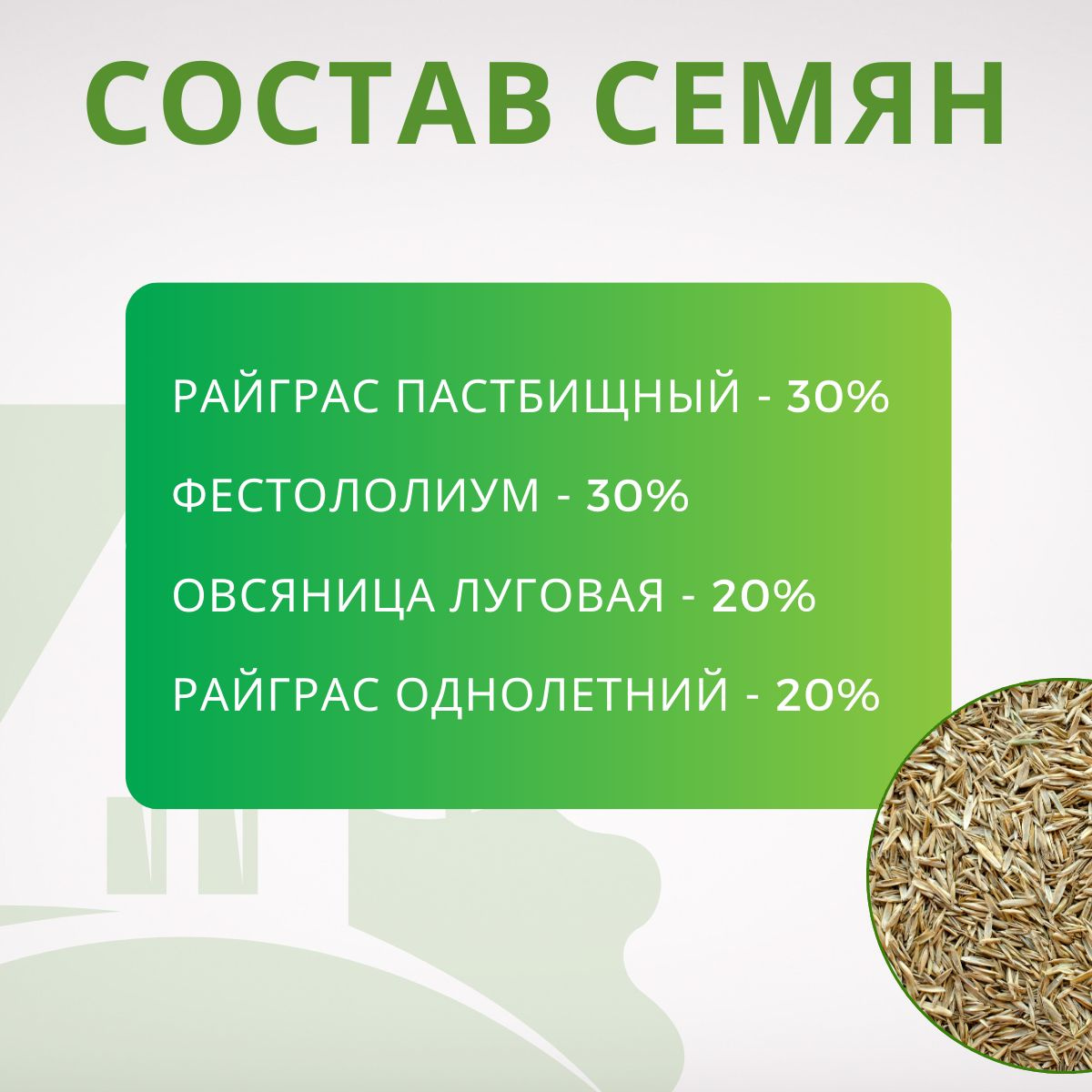 Райграс пастбищный – 30% Фестулолиум – 30% Овсяница луговая – 20% Райграс однолетний – 20%