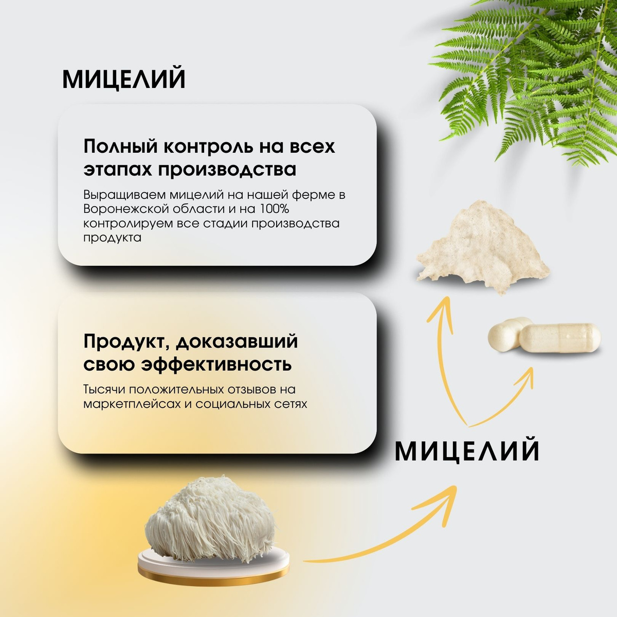 Ежовик (Ежевик) гребенчатый мицелий 700 мг 120 капсул / Lions mane ...