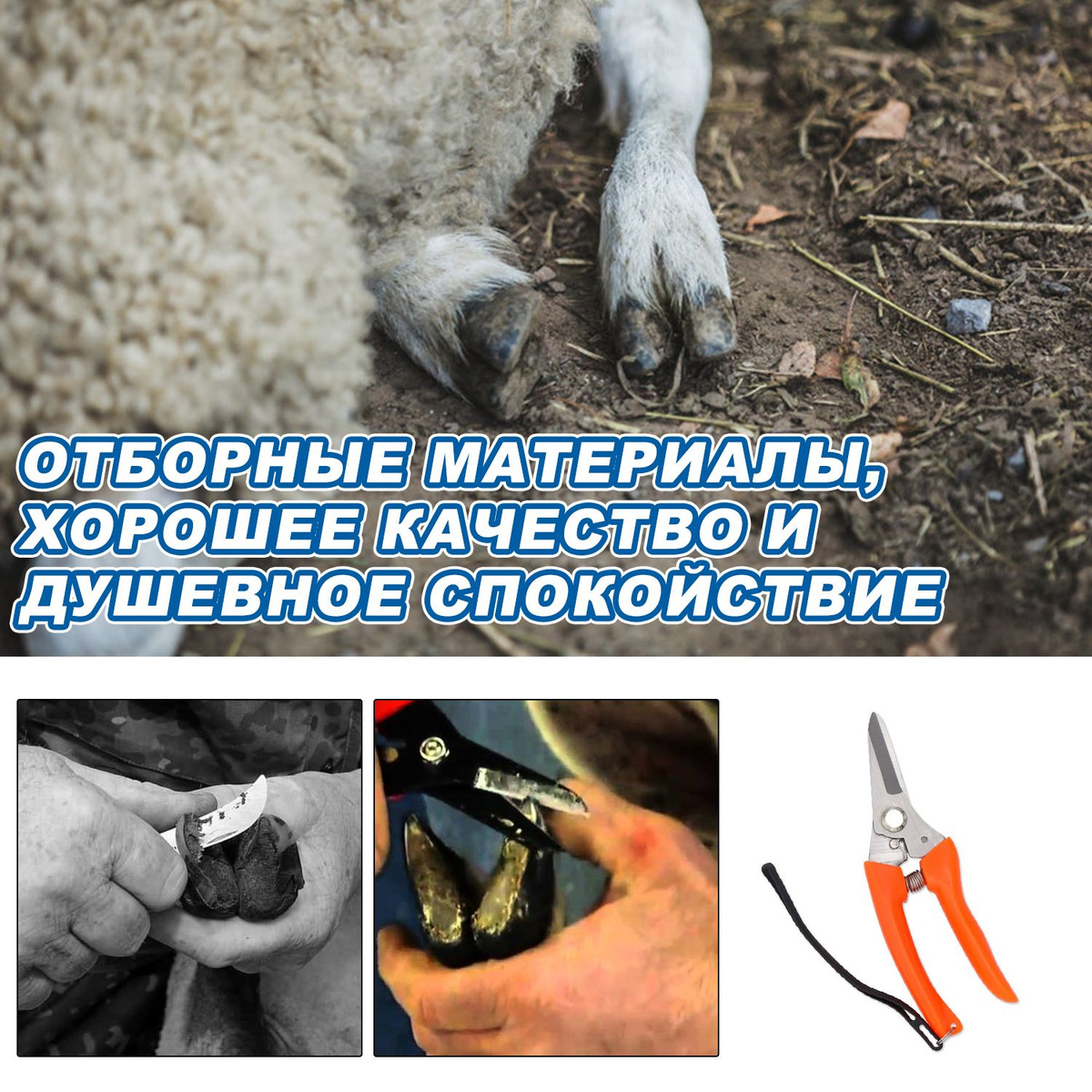 Ножницы для обрезки копыт коз овец / инструмент, секатор, кусачки ...