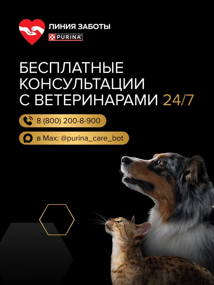 Влажный корм PRO PLAN Senior Maintenance для кошек старше 7 лет, в соусе с индейкой, 85 г x 26 шт, 85 г, 26 шт, фото 6