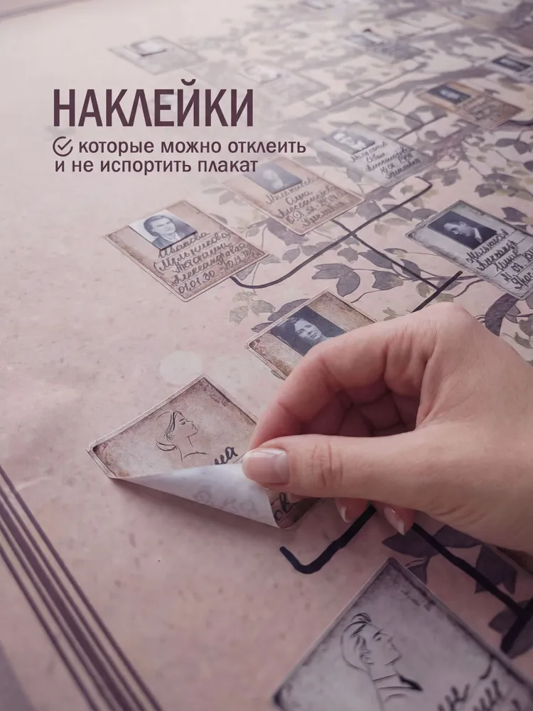 Семейное древо. Родословный плакат с наклейками., вариант, фото 4