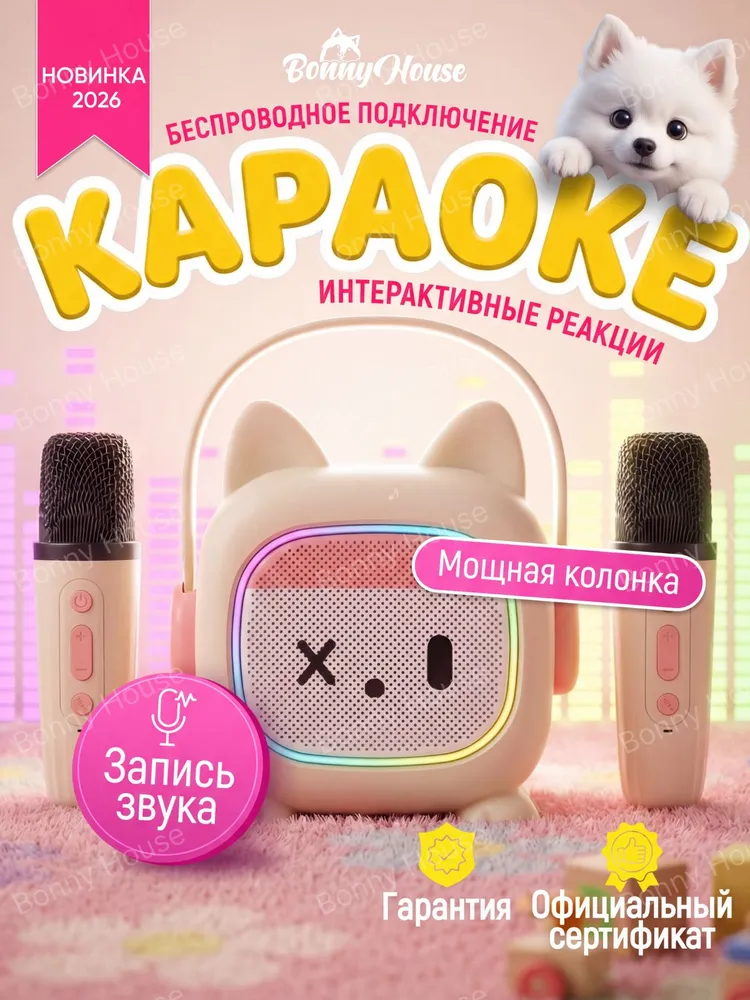 Детская караоке система с двумя беспроводными микрофонами и колонкой, вариант