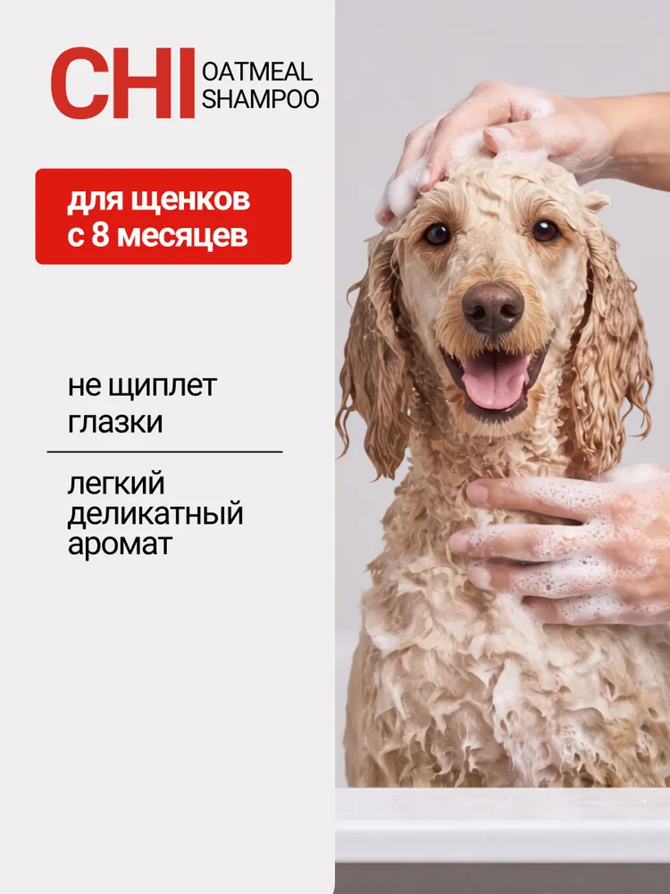 CHI FOR DOGS Шампунь для собак овсяный успокаивающий от зуда и шелушения кожи, 473 мл, 473 мл, фото 3